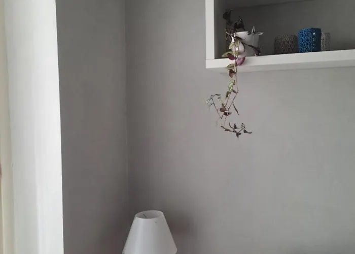 Nel Cuore Di - Laterale Via Farini * Parma